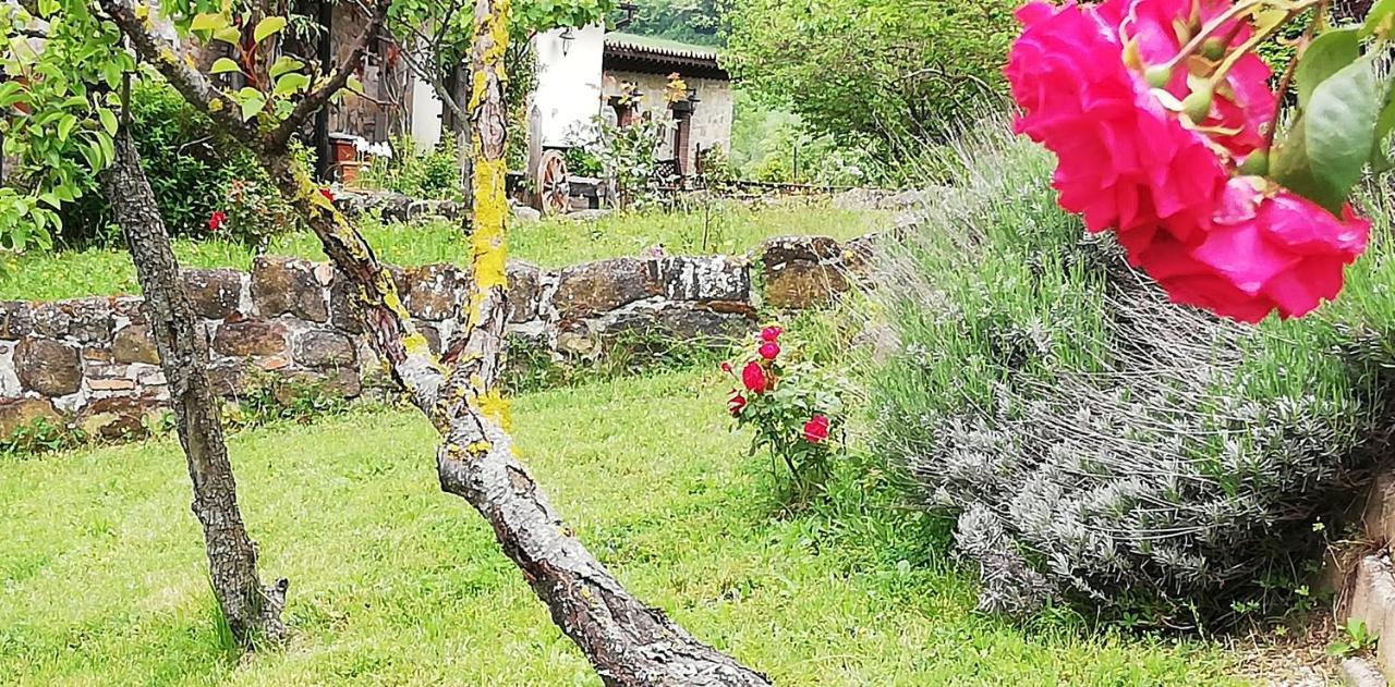 B&B Caselunghe カメリーノ エクステリア 写真